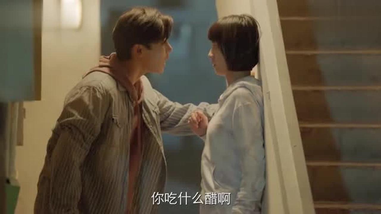 哈尼和她的宠物们